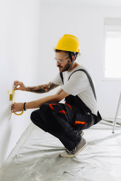 Best Fire-Damaged Drywall Repair  in Inesville, GA